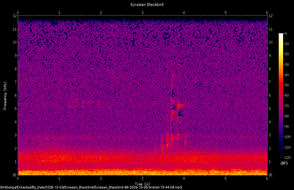 Spectrogram of a Eurasian Blackbird recorded at 19:44:08