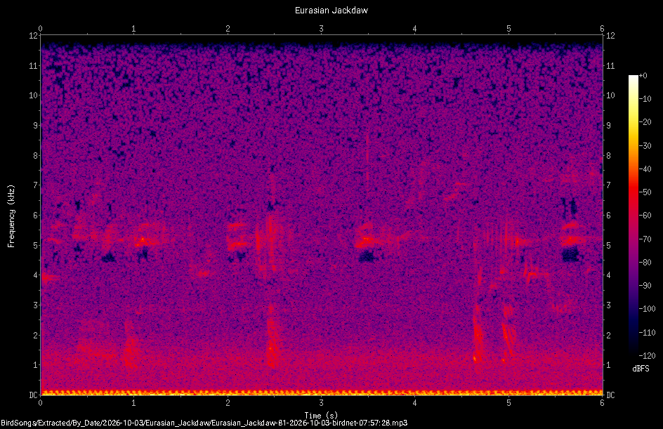 Spectrogram of a Eurasian Jackdaw recorded at 07:57:28