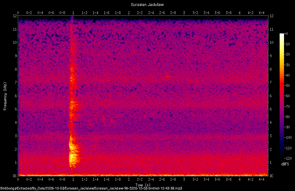 Spectrogram of a Eurasian Jackdaw recorded at 10:43:38