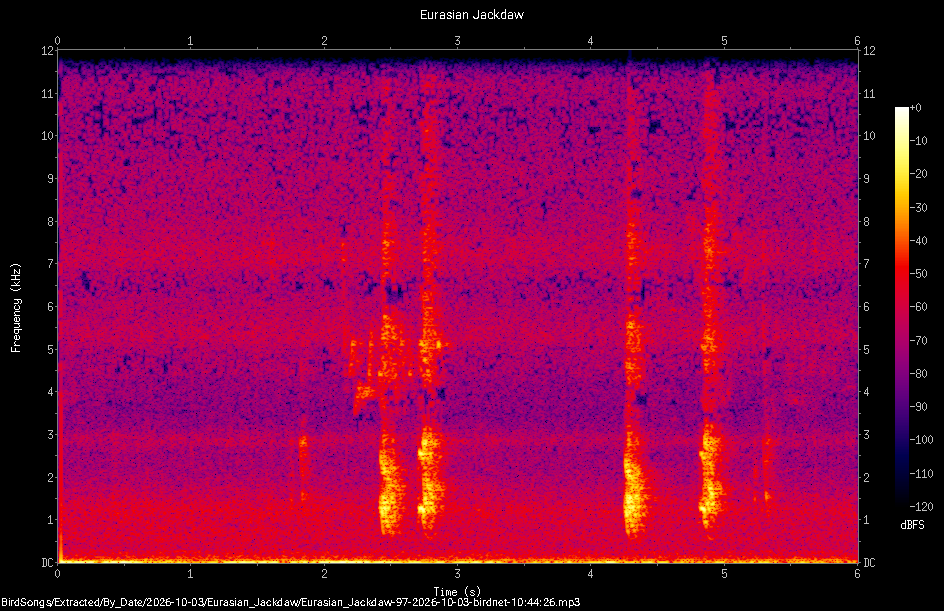 Spectrogram of a Eurasian Jackdaw recorded at 10:44:26