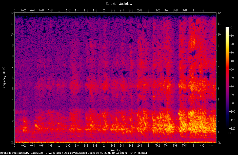 Spectrogram of a Eurasian Jackdaw recorded at 19:14:15