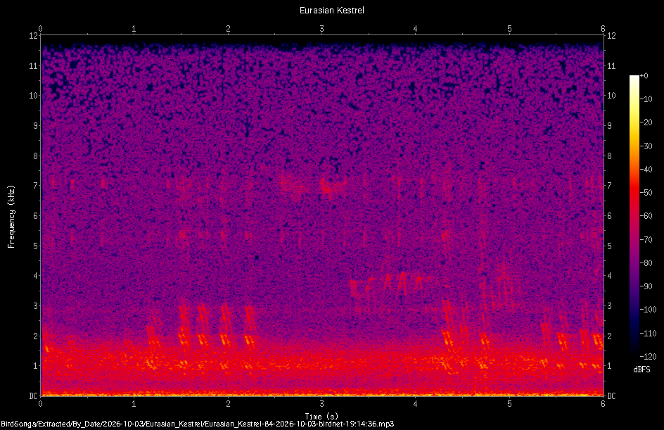 Spectrogram of a Eurasian Kestrel recorded at 19:14:36