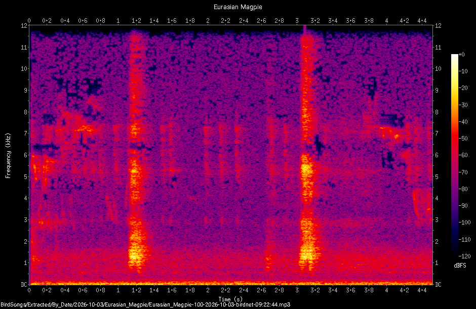 Spectrogram of a Eurasian Magpie recorded at 09:22:44