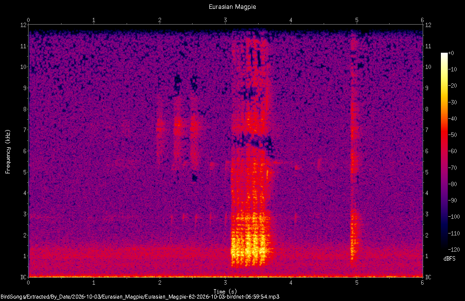 Spectrogram of a Eurasian Magpie recorded at 06:59:54