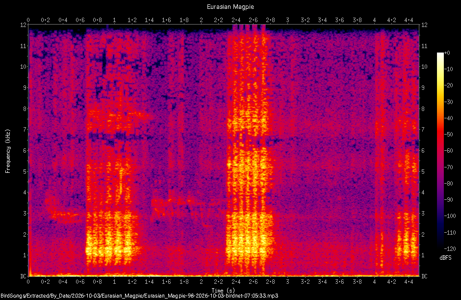 Spectrogram of a Eurasian Magpie recorded at 07:05:33