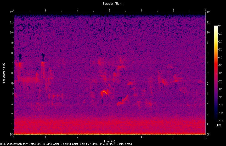 Spectrogram of a Eurasian Siskin recorded at 12:01:32