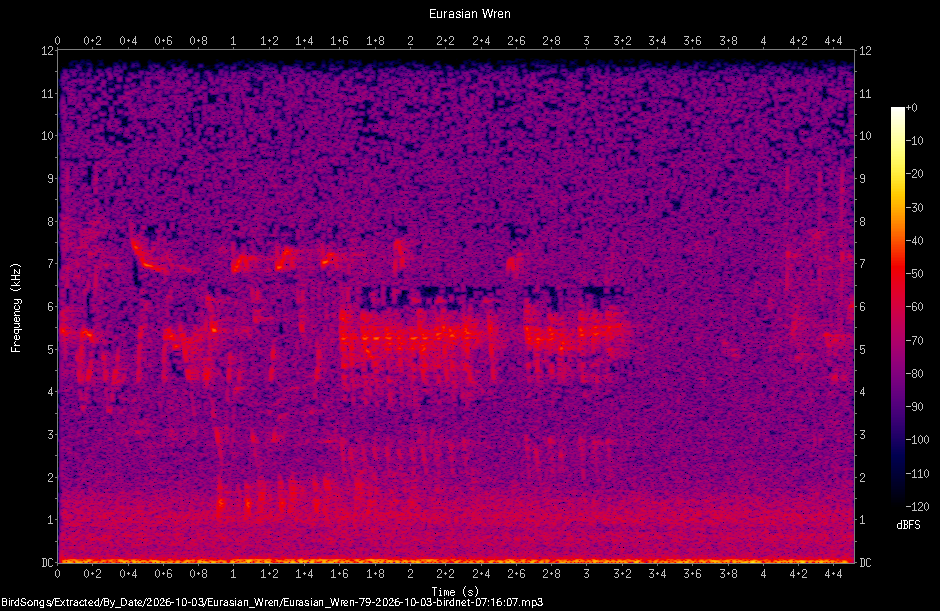 Spectrogram of a Eurasian Wren recorded at 07:16:07