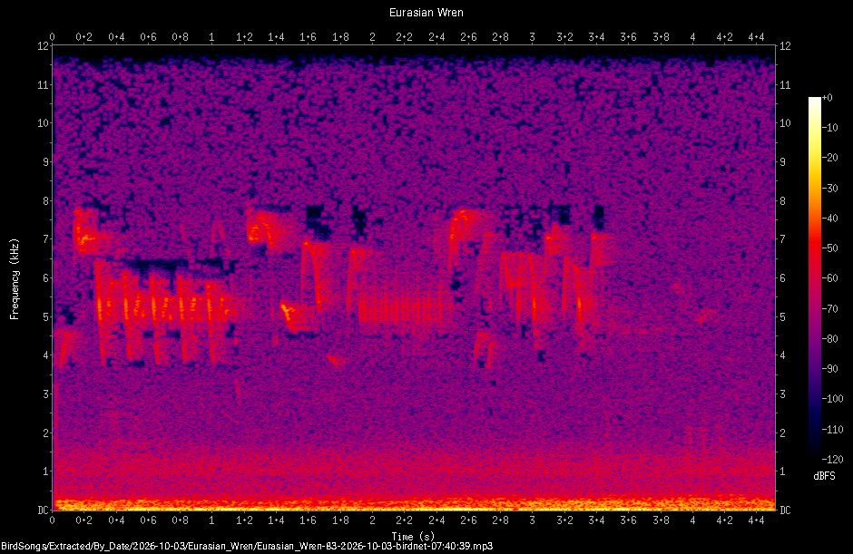 Spectrogram of a Eurasian Wren recorded at 07:40:39