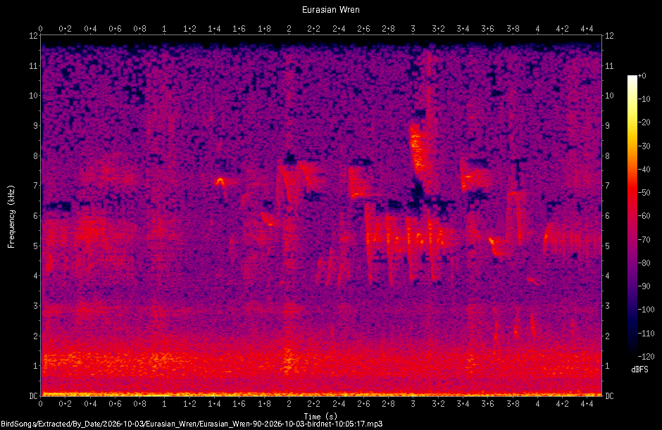 Spectrogram of a Eurasian Wren recorded at 10:05:17