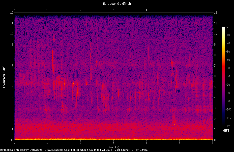 Spectrogram of a European Goldfinch recorded at 10:15:42