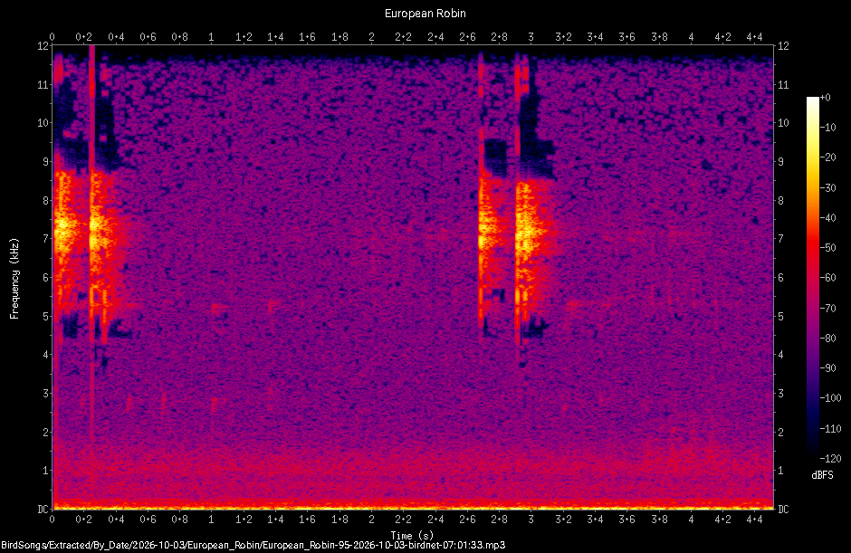 Spectrogram of a European Robin recorded at 07:01:33