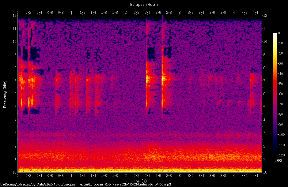 Spectrogram of a European Robin recorded at 07:04:06
