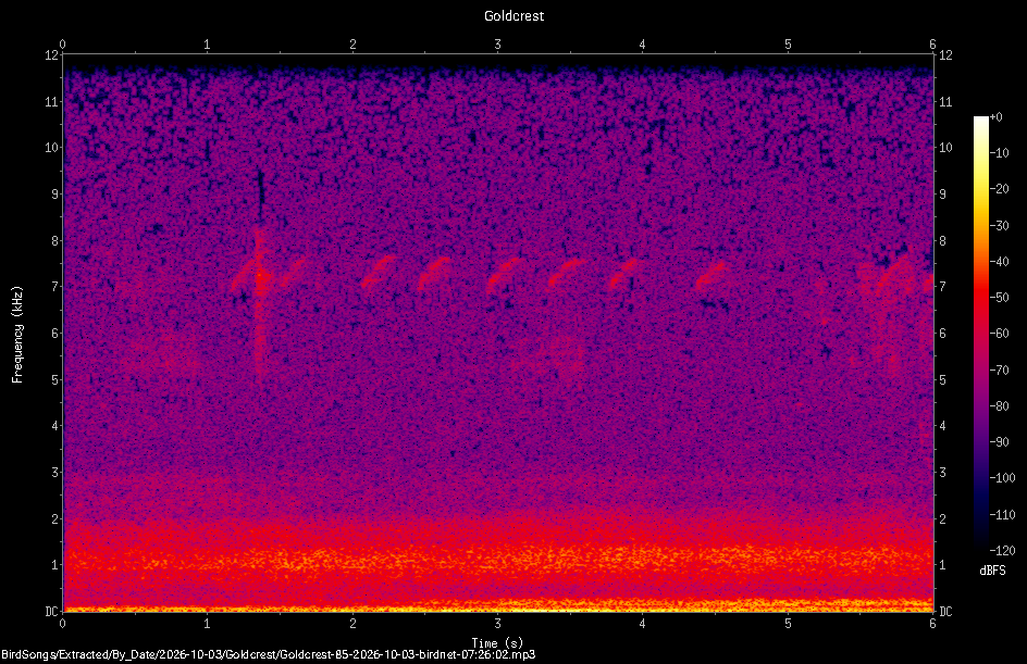 Spectrogram of a Goldcrest recorded at 07:26:02