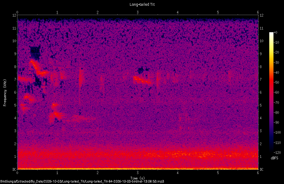 Spectrogram of a Long-tailed Tit recorded at 13:08:53