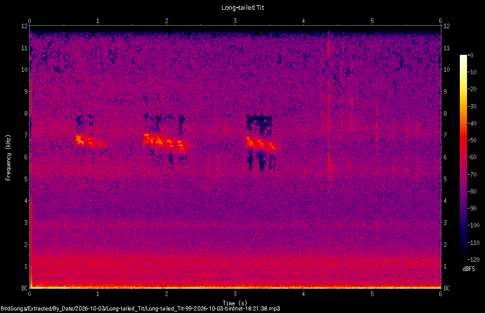 Spectrogram of a Long-tailed Tit recorded at 18:21:38