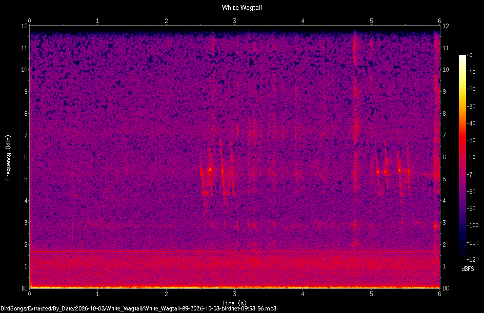 Spectrogram of a White Wagtail recorded at 09:53:56