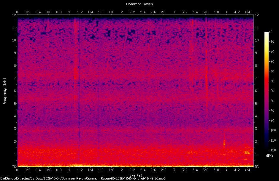 Spectrogram of a Common Raven recorded at 16:48:56