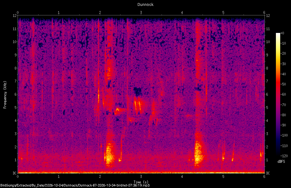 Spectrogram of a Dunnock recorded at 07:36:19