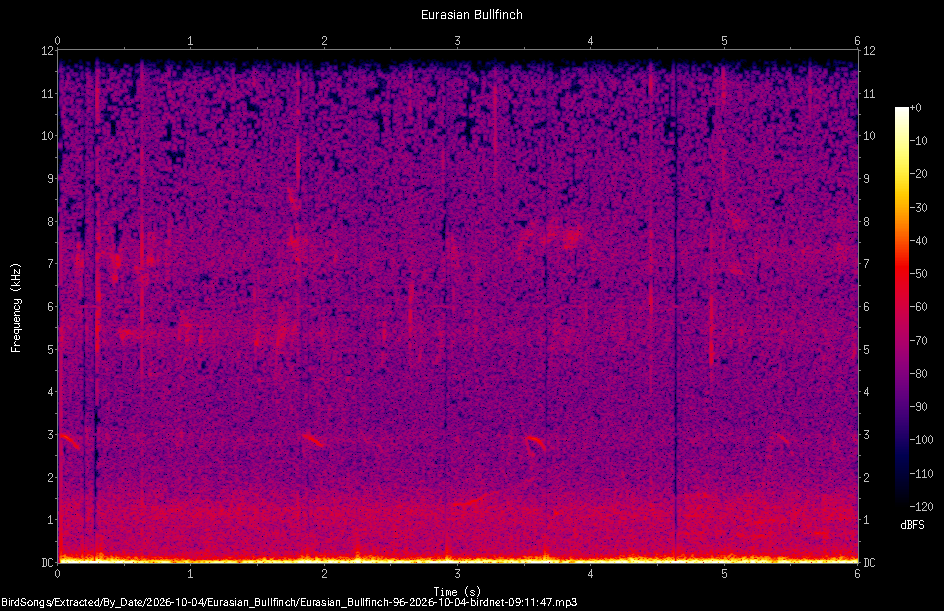 Spectrogram of a Eurasian Bullfinch recorded at 09:11:47