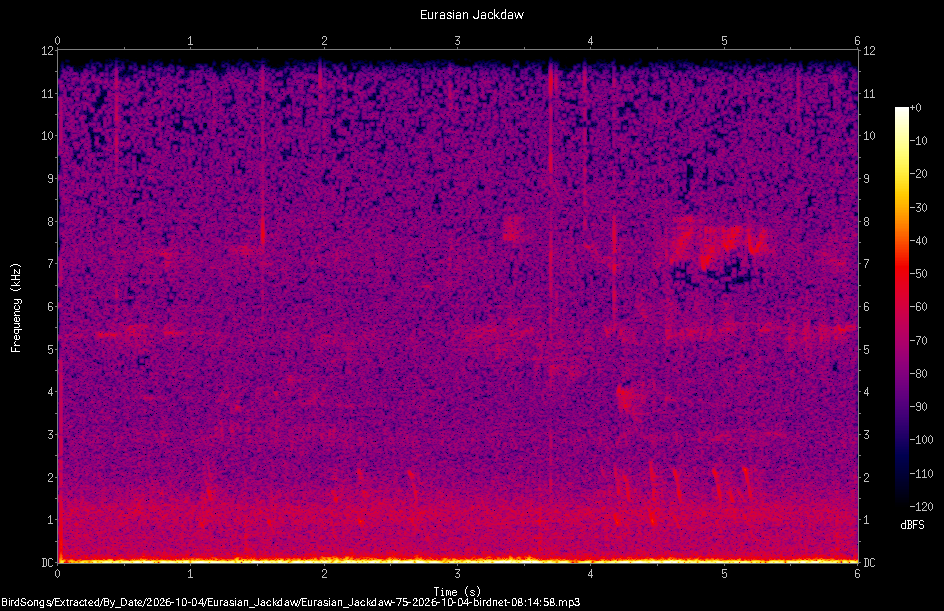 Spectrogram of a Eurasian Jackdaw recorded at 08:14:58