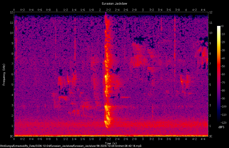 Spectrogram of a Eurasian Jackdaw recorded at 08:40:18