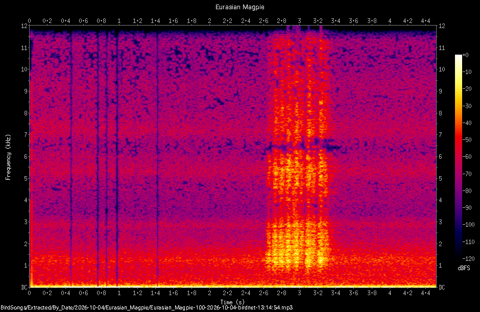 Spectrogram of a Eurasian Magpie recorded at 13:14:54