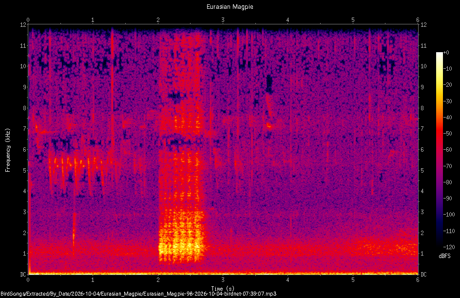 Spectrogram of a Eurasian Magpie recorded at 07:39:07