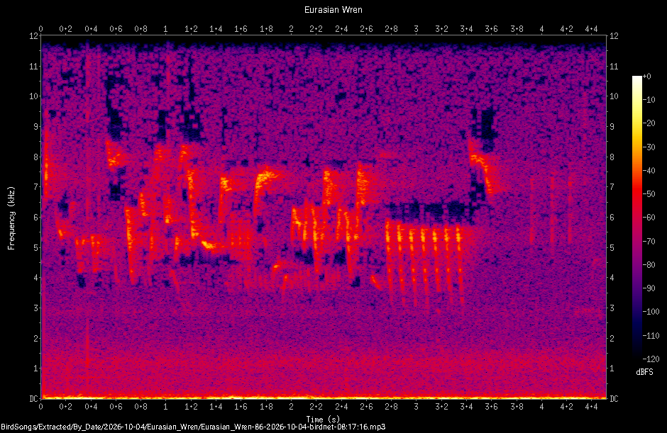 Spectrogram of a Eurasian Wren recorded at 08:17:16