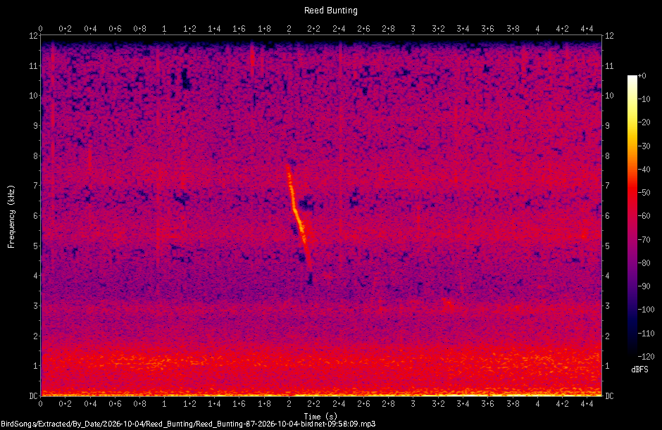 Spectrogram of a Reed Bunting recorded at 09:58:09