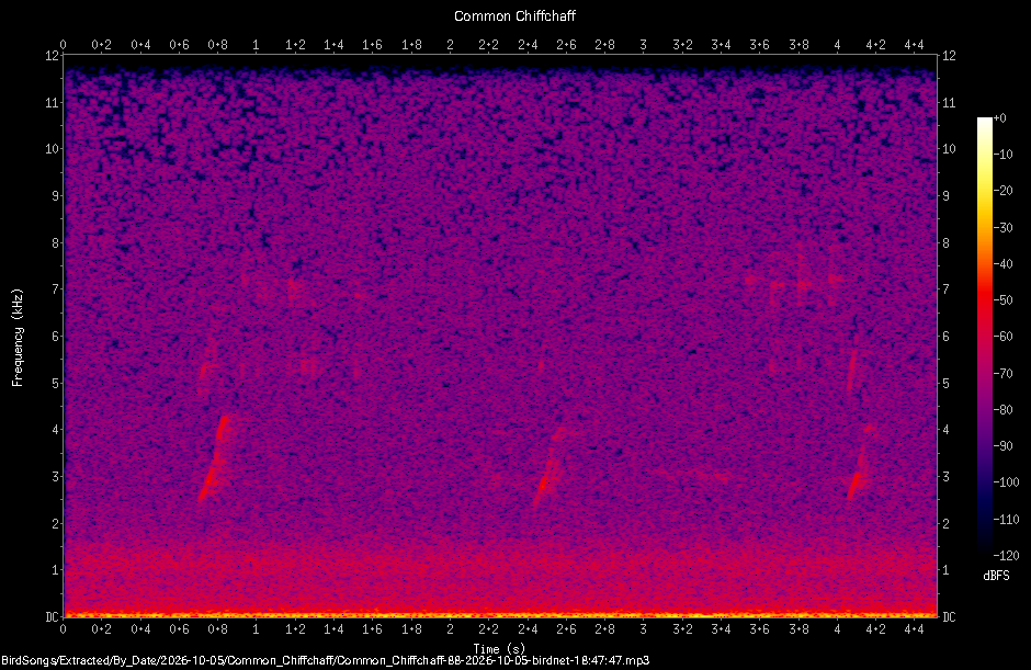 Spectrogram of a Common Chiffchaff recorded at 18:47:47