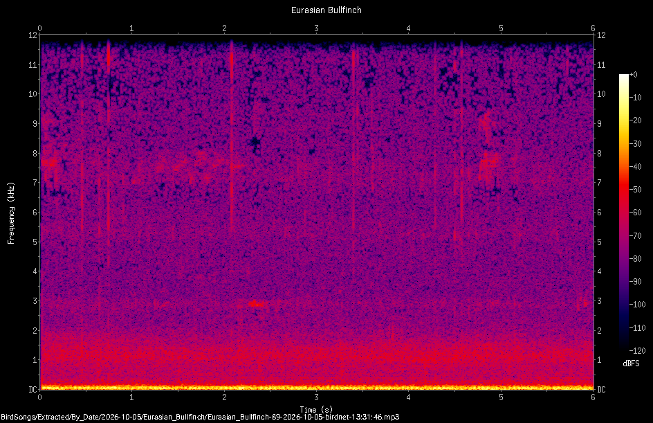 Spectrogram of a Eurasian Bullfinch recorded at 13:31:46
