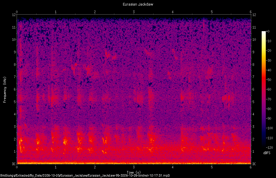 Spectrogram of a Eurasian Jackdaw recorded at 10:17:31