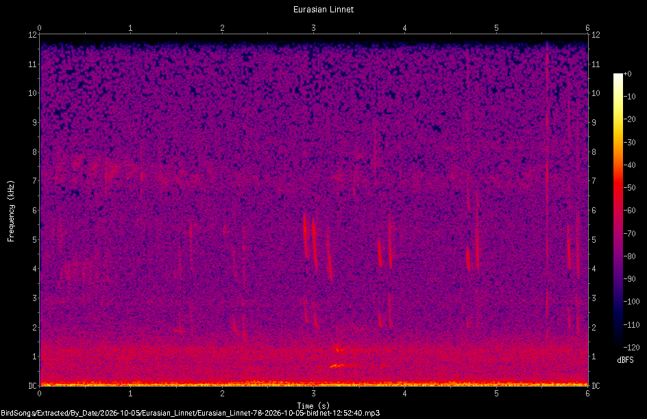 Spectrogram of a Eurasian Linnet recorded at 12:52:40