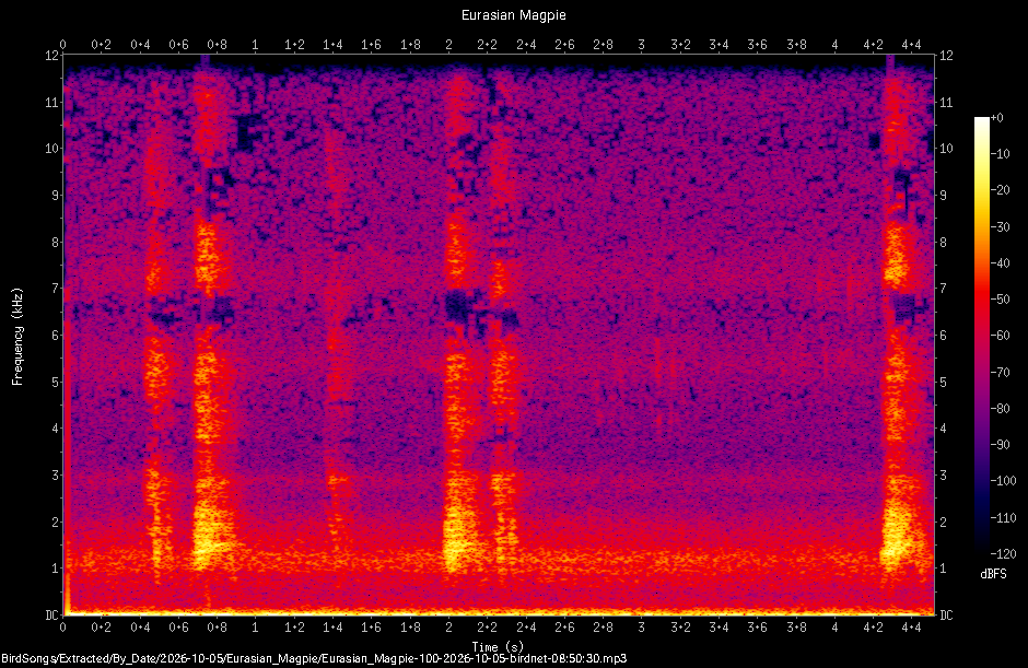 Spectrogram of a Eurasian Magpie recorded at 08:50:30
