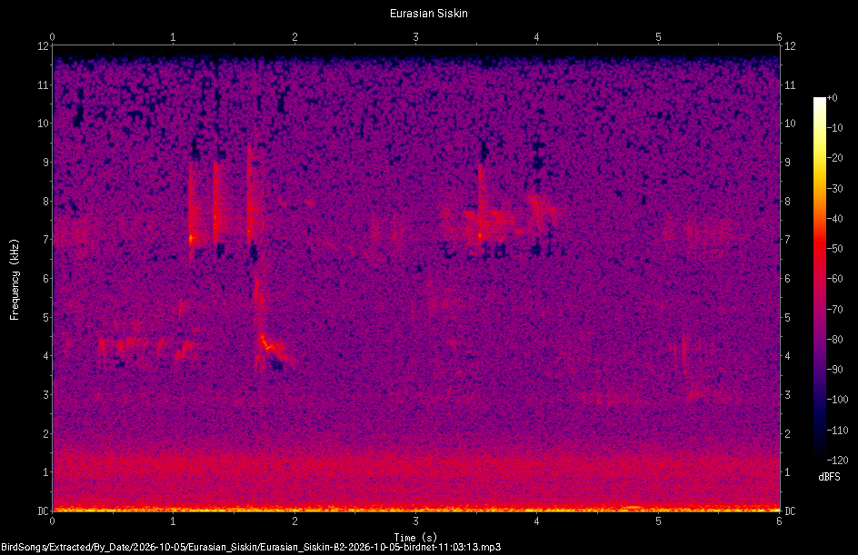 Spectrogram of a Eurasian Siskin recorded at 11:03:13