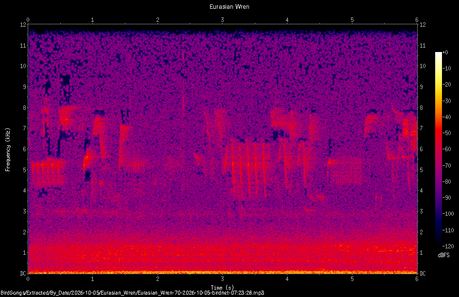 Spectrogram of a Eurasian Wren recorded at 07:23:28