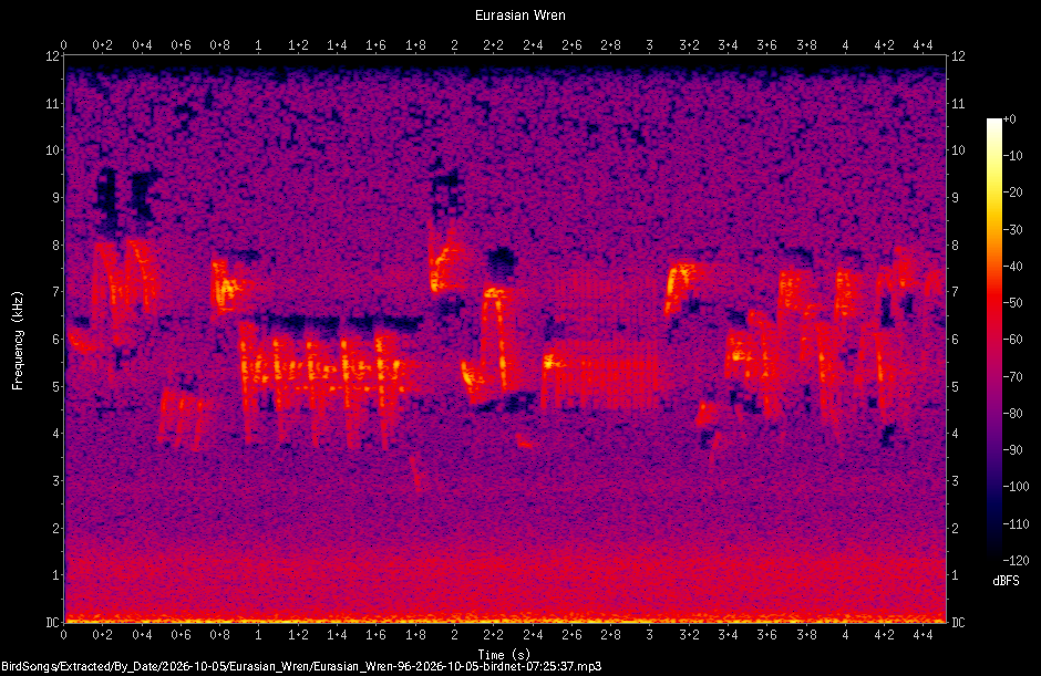 Spectrogram of a Eurasian Wren recorded at 07:25:37