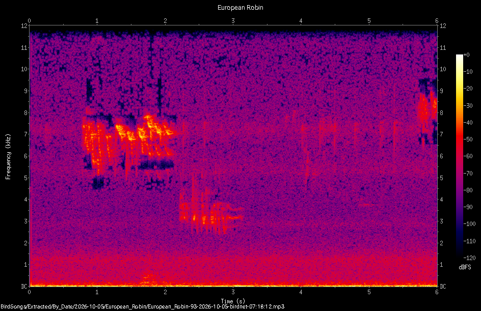 Spectrogram of a European Robin recorded at 07:18:12