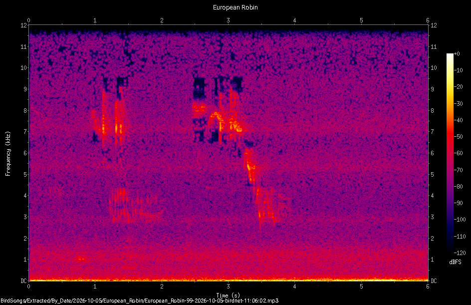 Spectrogram of a European Robin recorded at 11:06:02