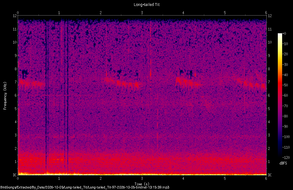 Spectrogram of a Long-tailed Tit recorded at 13:15:39