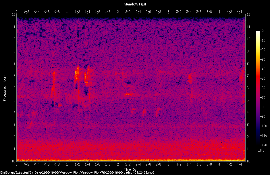 Spectrogram of a Meadow Pipit recorded at 09:26:33