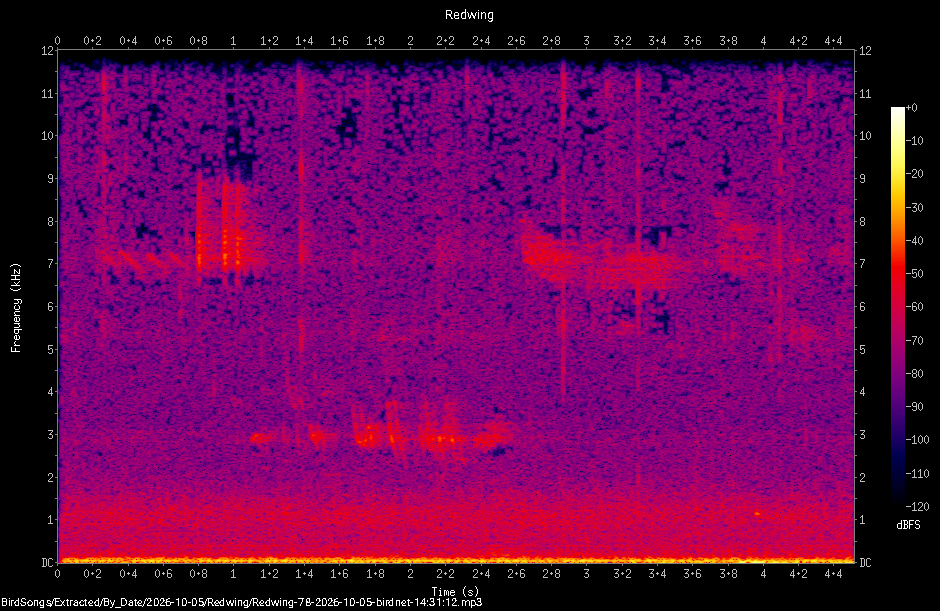 Spectrogram of a Redwing recorded at 14:31:12