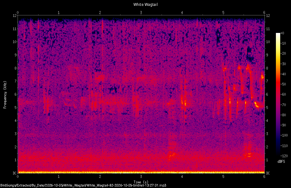 Spectrogram of a White Wagtail recorded at 13:27:01