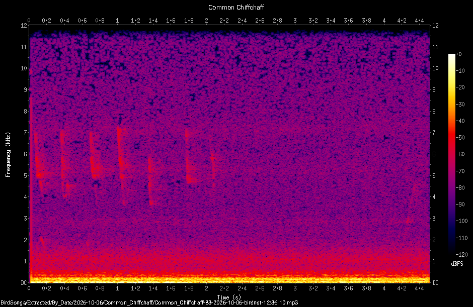 Spectrogram of a Common Chiffchaff recorded at 12:36:10