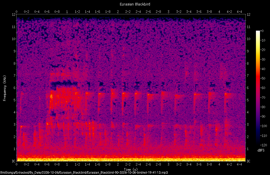 Spectrogram of a Eurasian Blackbird recorded at 19:41:13