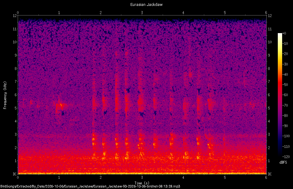 Spectrogram of a Eurasian Jackdaw recorded at 08:13:28