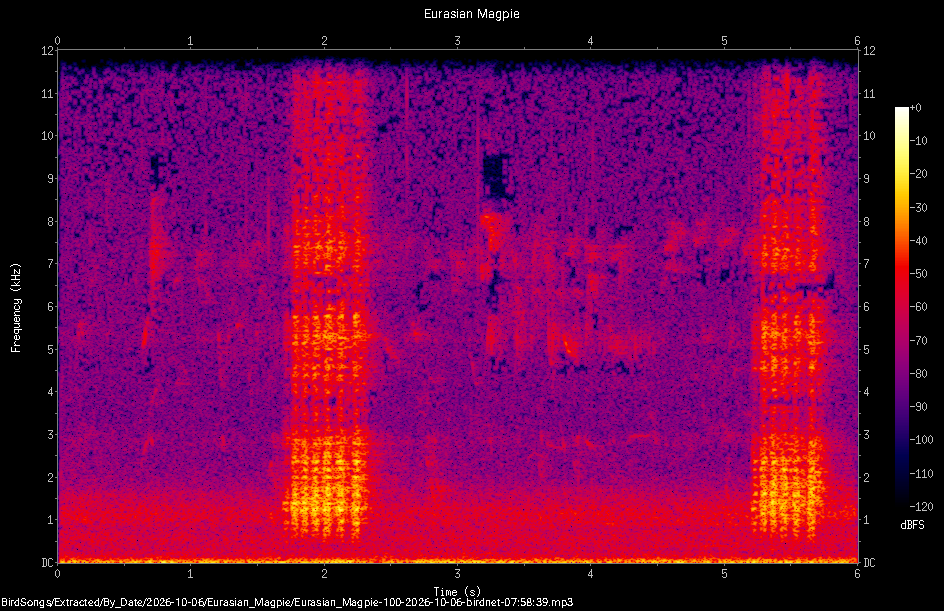 Spectrogram of a Eurasian Magpie recorded at 07:58:39