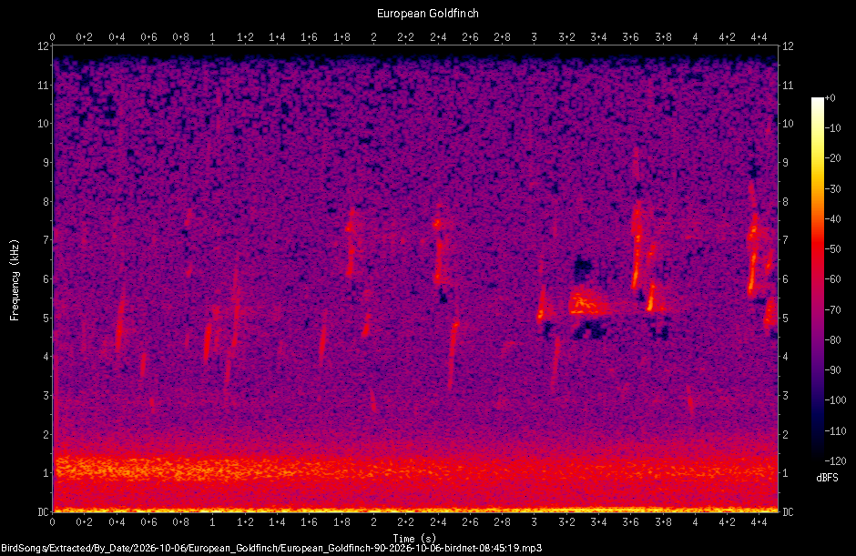 Spectrogram of a European Goldfinch recorded at 08:45:19