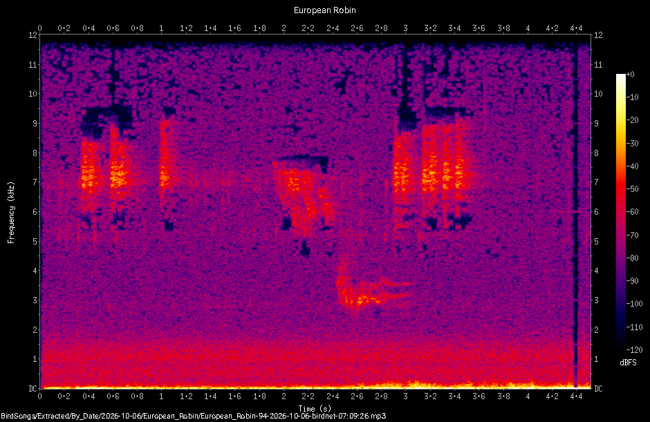 Spectrogram of a European Robin recorded at 07:09:26