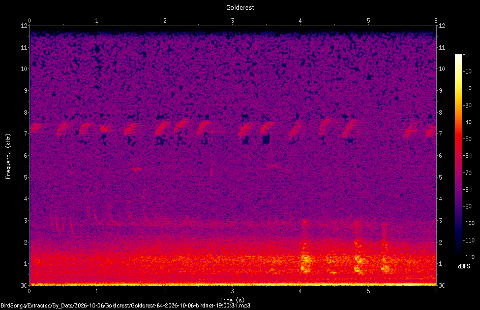 Spectrogram of a Goldcrest recorded at 19:00:31